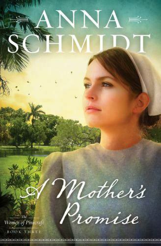 A Mothers Promise (Paperback)