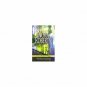 Suspicious (Paperback)
