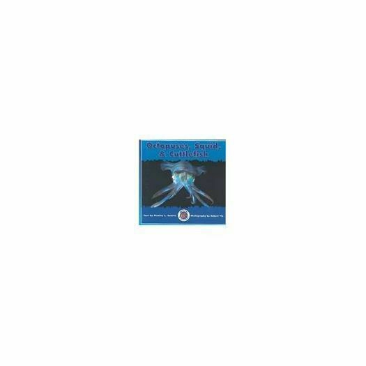 OCTOPUSES, SQUID & CUTTLEFISH (Dominie Marine Life Set 2)