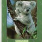 Steck-Vaughn Pair-It Books Early Fluency Stage 3: Student Reader Animal Homes ,