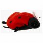 TY Beanie Baby - LUCKY the Ladybug