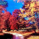 Autumn Trail Puzzle - 1000 Pieces