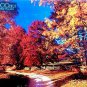 Autumn Trail Puzzle - 1000 Pieces