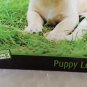 500 Piece Puzzle "Puppy Love" Difficulty Level 3