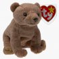 Ty Beanie Baby - Pecan The Bear Beanbag Plush