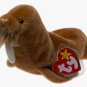 Ty Beanie Babies - Paul the Walrus