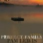 Perfect Family: A Novel (Hardcover)