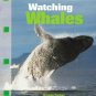 Watching Whales (Newbridge discovery links)