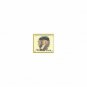 William Penn (Discover the Life of a Colonial American)