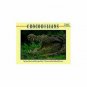 Crocodilians (Mondo Animals)