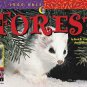 In the Forest (Look Once, Look Again Science Series)