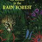 At Home in the Rain Forest