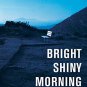 Bright Shiny Morning  (Hardcover)