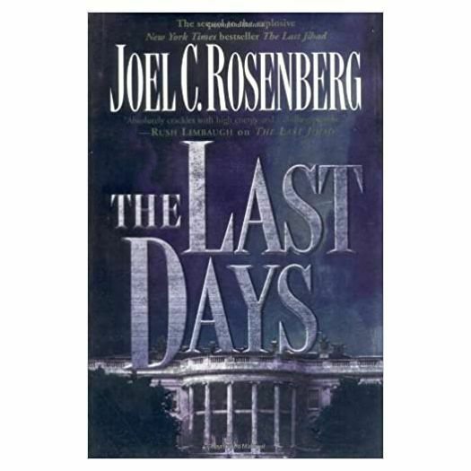 The Last Days (Political Thrillers Series #2) Hardcover  (Hardcover)
