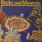 Album of Rocks and Minerals McGowen, Tom