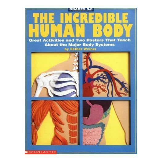 The Incredible Human Body (Grades 3-6) (Paperback)