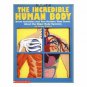 The Incredible Human Body (Grades 3-6) (Paperback)
