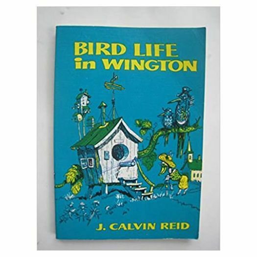 Bird Life in Wington: Practical Parables for Young People