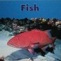 FISH PAPERBACK (Dominie Marine Life Young Readers)