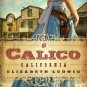 Love Finds You in Calico, California (Paperback)