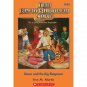 Dawn and the Big Sleepover (Baby-Sitters Club, 44)