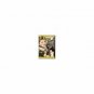 Oliver Twist (DVD)