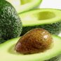 100% Pure Avocado Oil, 32 oz