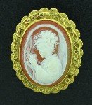 Vintage Cameo Framed Brooch BRO2062