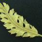Coro 1961 Detailed Vintage Gold Tone Leaf Brooch Bro2142
