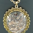 Beautiful Brown Toned Stone Pendant Necklace with Gold Tone Chain Nec1012