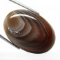 Natural Beautiful Agate 53.40 CT