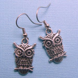 Wise Owl Earrings - Silver Plated