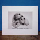 "Happiness is ..." Matted Photo Kitty Cat & Puppy Dog Print (EC-ART101)
