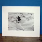 "No Day is so Bad ..." Matted Photo Kitten / Cat Print (EC-ART101)