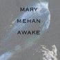 Mary Mehan Awake by Jennifer Armstrong (1997, Hardco...