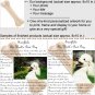 Personalized artwork: dog bone design + your photo + your message