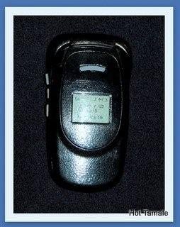 LG ElectronicsClam Shell Cell Phone Model#TM125 Trumpet pre-paid service