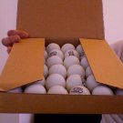 144 Beer Pong Balls