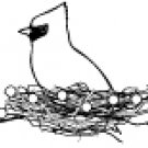 Memory Box - Lighted Nest