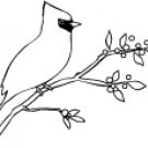 Memory Box - Winter Cardinal