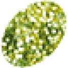 Ranger - Stickles - Lime Green