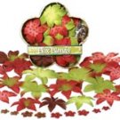 Petaloo - Dahlia Box Blend Sm - Red/Green