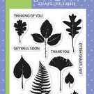 Hero Arts Poly Clear - Leaf Prints
