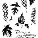 I/O Clear - Harmony in Autumn