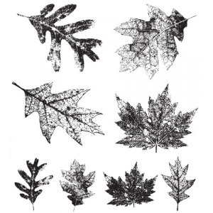Tim Holtz Collection - Falling Leaves