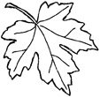 Impression-Obsession - Pointy Oak Leaf