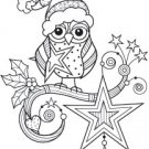 Outlines - Winter Owl