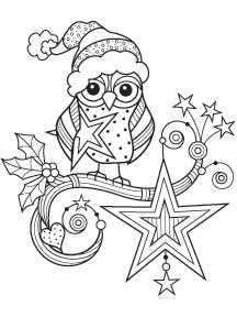 Outlines - Winter Owl