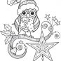 Outlines - Winter Owl