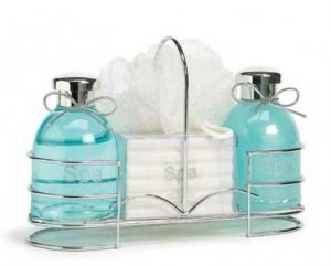 Wholesale  Spa Bottles Set-wire Caddy